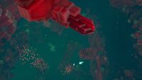 A shoal of Spinefish and Red Feather Fish in the area