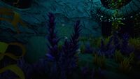 At night