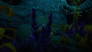 Violetbeau At night.jpg