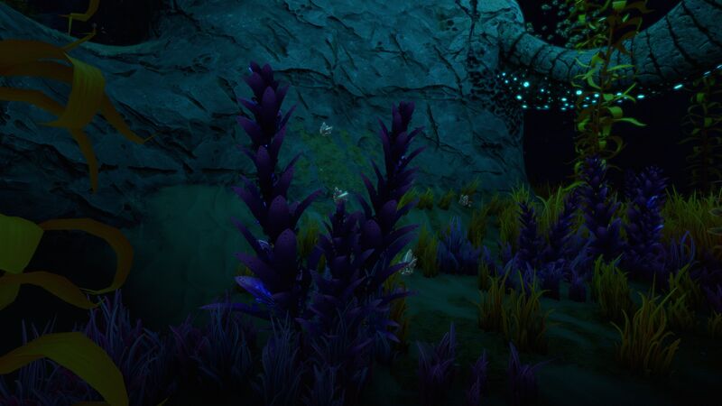 File:Violetbeau At night.jpg