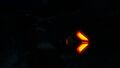 Bioluminescence