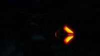 Bioluminescence