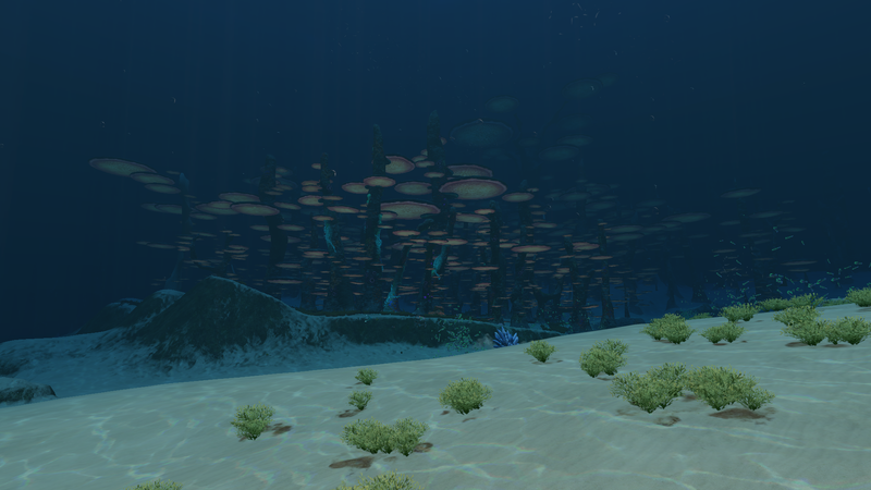 File:Dunes NWMF Transition.png