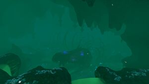 GhostCanyon4.jpg