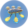 Hoverfish.png