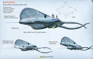 "Ice Breaker" - by Alex Ries (Unused)