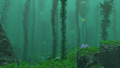 Kelp Forest