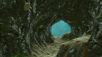 Limestone is commonly found in caves