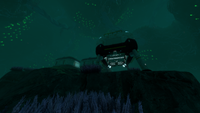 The base