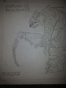 NS2 Fade.jpg