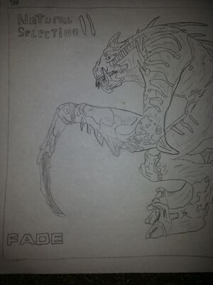 NS2 Fade.jpg