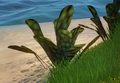 Thumbnail for version as of 16:48, 5 February 2017