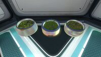 The three available Plant Pot models