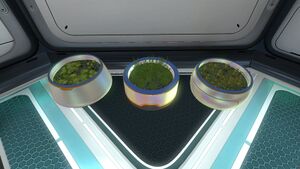Planter pot models.jpg