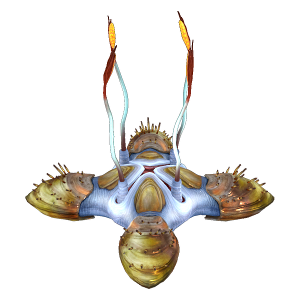 File:Spike Trap Flora Old.png