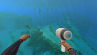 The Player Holding the Flashlight