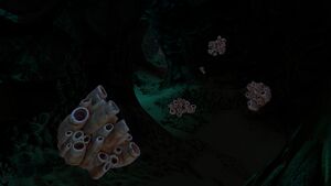 KooshCave3.jpg