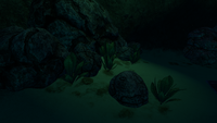 Flora and boulders at the back of the Alien Cache