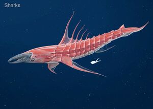 Alex Shark crustacean.jpg