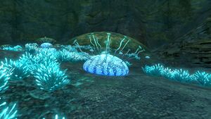 Amoeboid Infobox-p.jpg