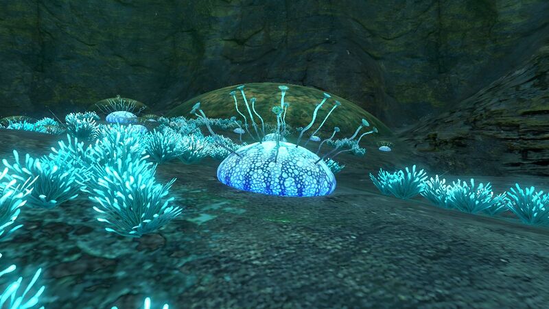 File:Amoeboid Infobox-p.jpg