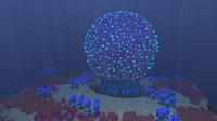 A Giant Bulb Bush