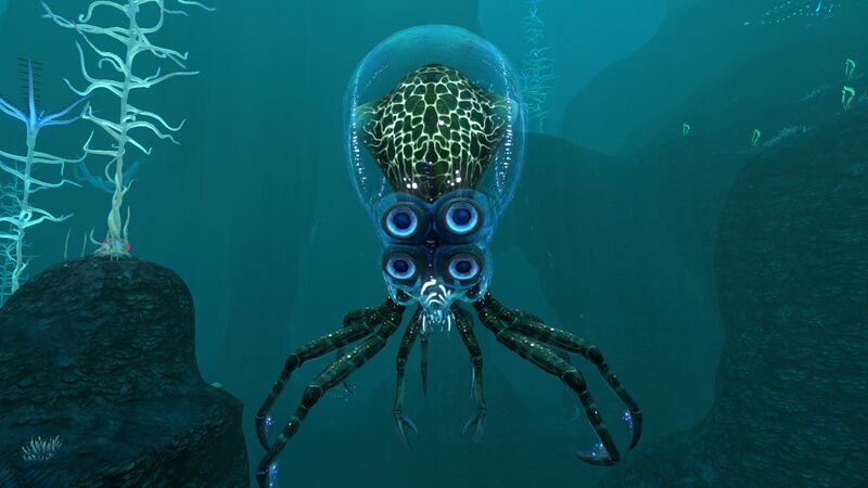 File:Crabsquid1.jpg