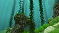 A long Creepvine