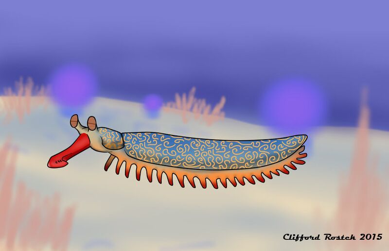 File:Kooshworm by Clawedfrog.jpg