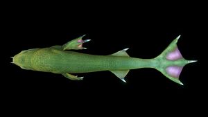 LavaLizard11.jpg