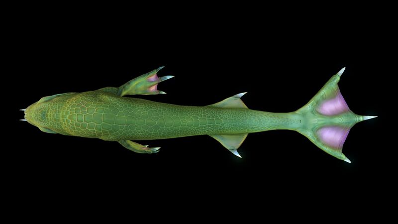 File:LavaLizard11.jpg