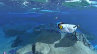 A Pengling swimming around the Shallow Twisty Bridges