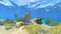 The Safe Shallows