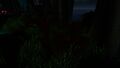 Grub Basket at Night-time