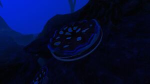 20190526122959 1.jpg