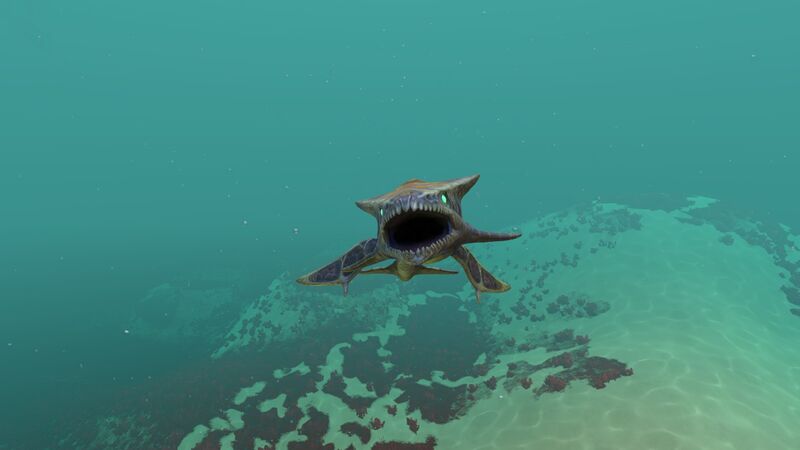 File:Bone Shark (1).jpg
