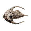 Thumbnail for version as of 17:42, 6 August 2021