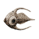 Cooked Arctic Peeper Icon.png