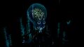 Bioluminescence