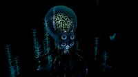 Crabsquid