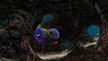 Holefish inside Lava Cave