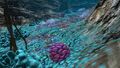 A Purple Pinecone in the Deep Grand Reef