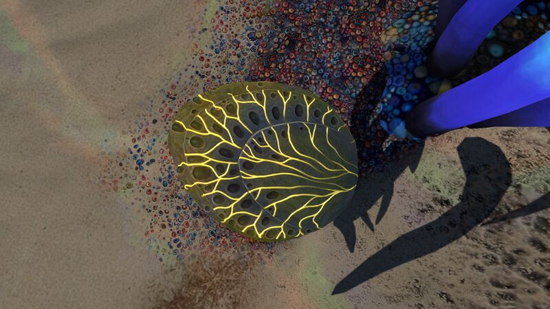 File:Shellplate02.jpg