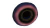 Tree Leech Fauna.png