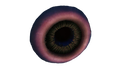 Thumbnail for version as of 18:17, 20 September 2015