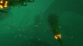 The murky waters in deeper areas of the biome