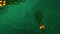 The murky waters in deeper areas of the biome