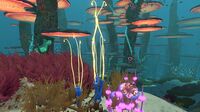 Blue Coral Tubes in the Mushroom Forest