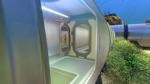 Bulkhead (4).jpg