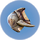 Cooked Red Eyeye.png